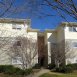 303 E31 Smith Level Rd. - Condominium for rent in Chapel Hill, NC