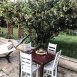 Main picture of House for rent in Glendale, CA