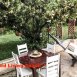 Main picture of Condominium for rent in Los Angeles, CA