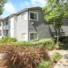 Main picture of Condominium for rent in Lake Forest, CA