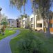 Main picture of Condominium for rent in Scottsdale, AZ