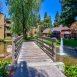 Main picture of Condominium for rent in Santa Rosa, CA