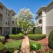 Main picture of Condominium for rent in Raleigh, NC