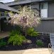 Main picture of Condominium for rent in Concord, CA