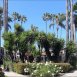 Main picture of Condominium for rent in Huntington Beach, CA
