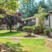 Main picture of Condominium for rent in Bellevue, WA
