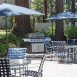 Main picture of Condominium for rent in Walnut Creek, CA