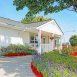 Main picture of Condominium for rent in Sterling Heights, MI