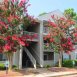 Main picture of Condominium for rent in Seneca, SC