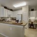 Main picture of Condominium for rent in Windsor Mill, MD