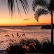 Main picture of Condominium for rent in Tampa, FL