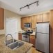 Main picture of Condominium for rent in Austin, TX