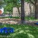 Main picture of Condominium for rent in Bedford, TX