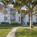 Main picture of Condominium for rent in San Jose, CA