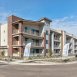 Main picture of Condominium for rent in Queen Creek, AZ