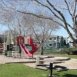 Main picture of Condominium for rent in Round Rock, TX