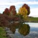 Main picture of Condominium for rent in Lakewood, CO