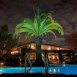 Main picture of Condominium for rent in Garden Grove, CA
