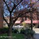 Main picture of Condominium for rent in Seattle, WA