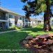 Main picture of Condominium for rent in Paradise, CA