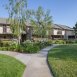 Main picture of Condominium for rent in Fremont, CA