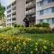 Main picture of Condominium for rent in Adelphi, MD
