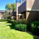 Main picture of Condominium for rent in Carmichael, CA