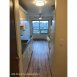 Main picture of Condominium for rent in Seattle, WA