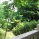 View from Porch
