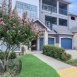 Main picture of Condominium for rent in Frisco, TX