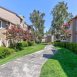 Main picture of Condominium for rent in Concord, CA