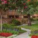 Main picture of Condominium for rent in Redlands, CA