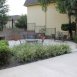 Main picture of Condominium for rent in Temple Terrace, FL