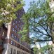 Main picture of Condominium for rent in New York, NY