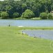 Main picture of Condominium for rent in Huntsville, AL