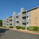 Main picture of Condominium for rent in San Antonio, TX