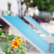 Main picture of Condominium for rent in Austin, TX