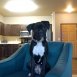 Main picture of Condominium for rent in Fargo, ND