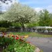 Main picture of Condominium for rent in Akron, OH