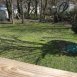 Back yard view