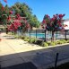 Main picture of Condominium for rent in Santa Rosa, CA
