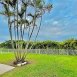Main picture of House for rent in Boca Raton, FL
